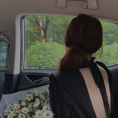 菊石免费在线观看