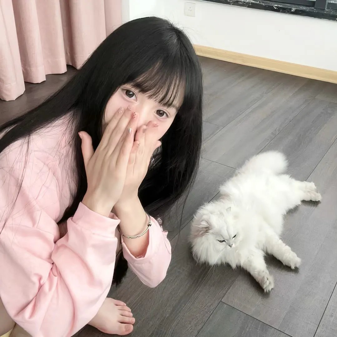 招财进宝免费在线观看